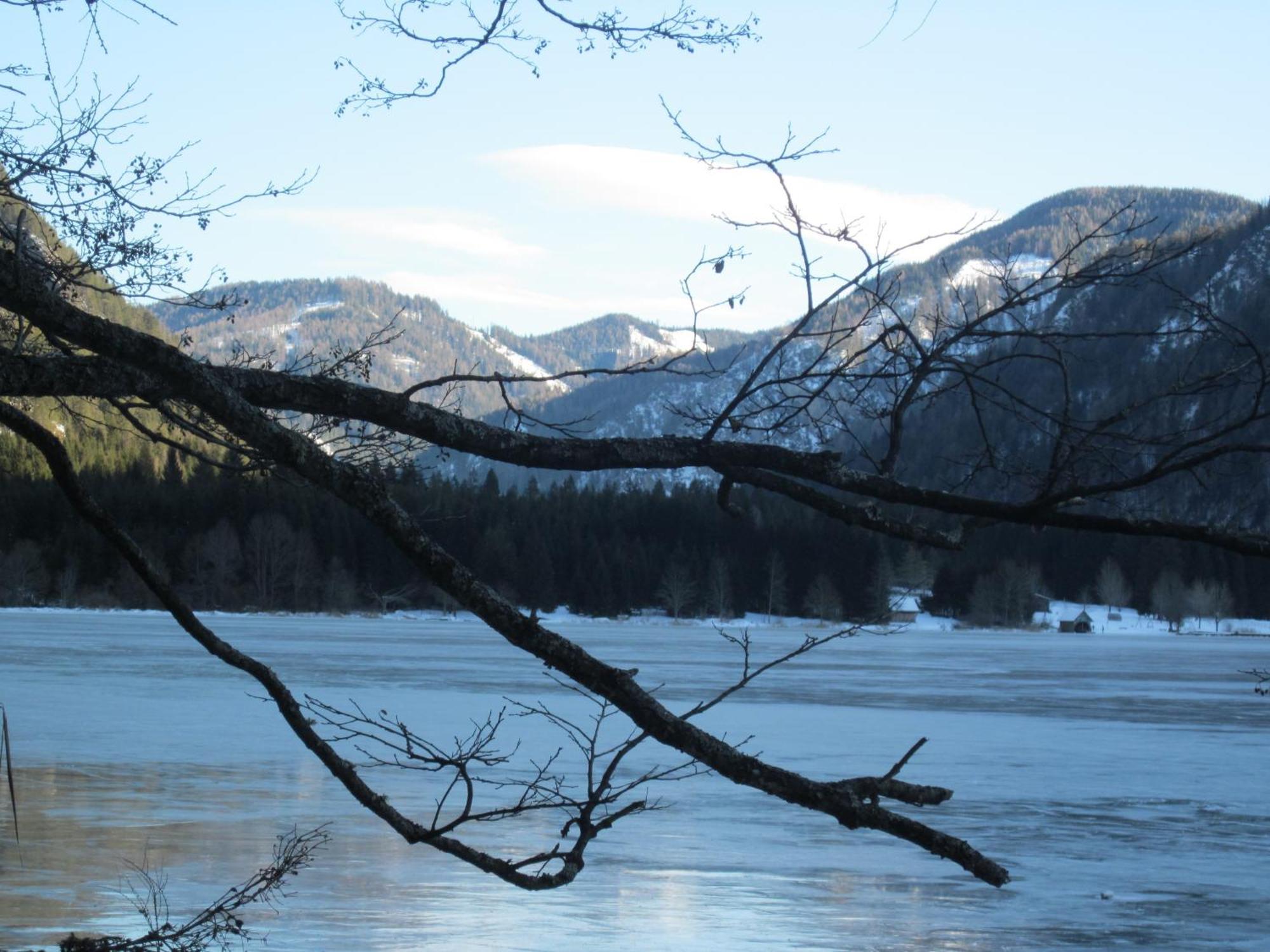 Ferienwohnung Moser Am See Millstatt Dış mekan fotoğraf