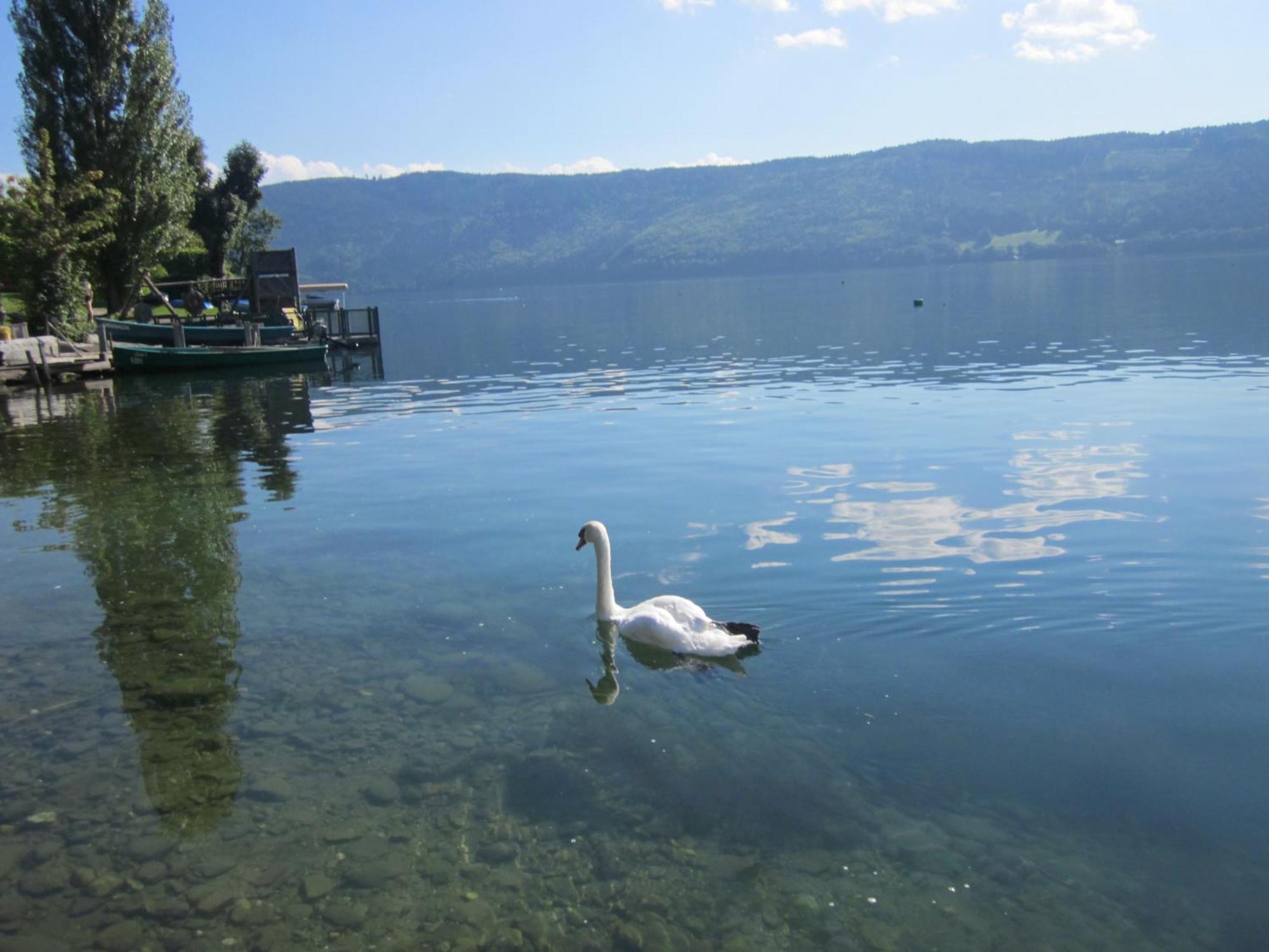 Ferienwohnung Moser Am See Millstatt Dış mekan fotoğraf