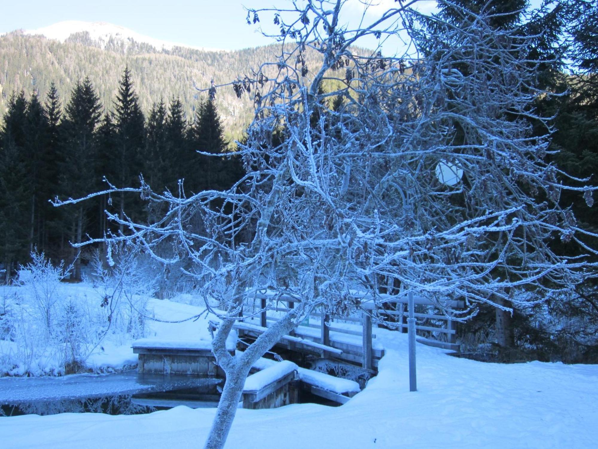 Ferienwohnung Moser Am See Millstatt Dış mekan fotoğraf